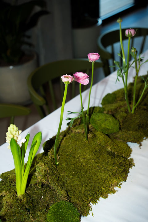 kurz vaření v Laboratorio ve Vanguardu